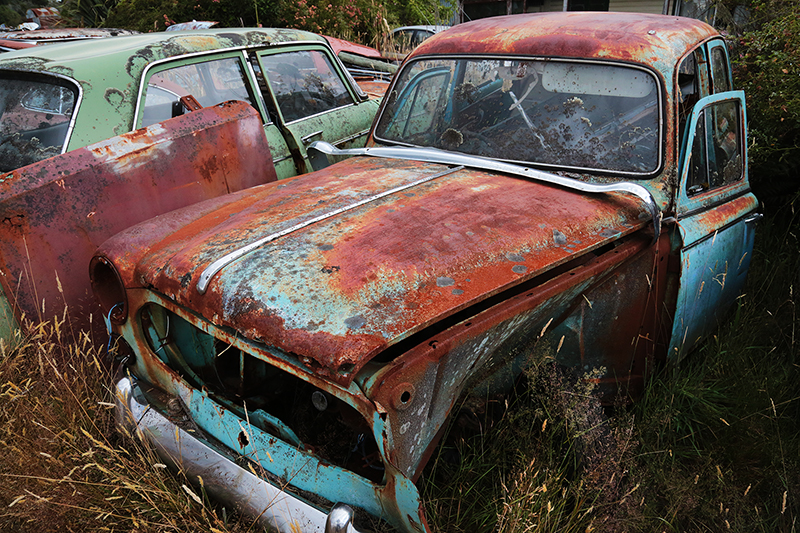 Smash Palace : Car Wreckers : Horopito : New Zealand : Richard Moore : Journalist : Photographer :